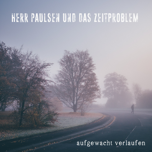 Herr Paulsen und das Zeitproblem - aufgewacht verlaufen - Vinyl - 12 Inch
